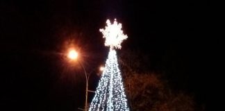 Postavljena novogodišnja jelka u centru Prokuplja