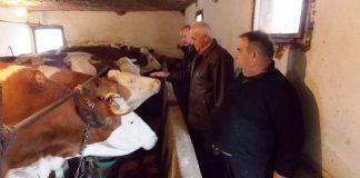 Završen konkurs za besprovratna sredstva za poljoprivredu