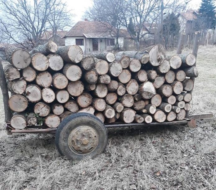 drva foto