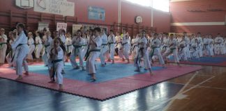 besplatan karate