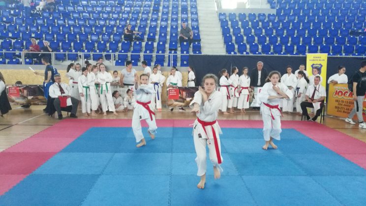 karatisti medalje prokuplje
