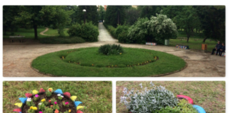 park-u-cveću