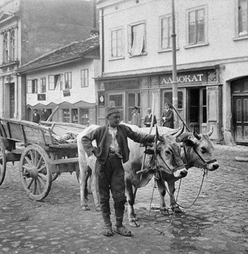 ŠTO NE ČUVAŠ KAO JA MOJ?