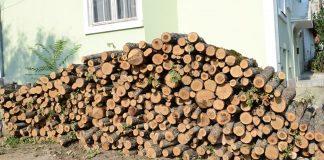 Drva za zimu najugroženijim porodicama u Prokuplju