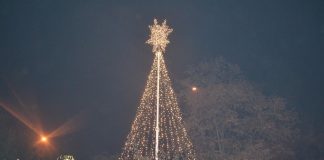 Postavljena novogodišnja jelka u centru Prokuplja