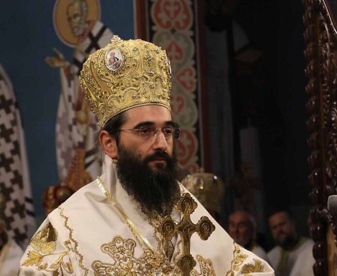 vladika niski