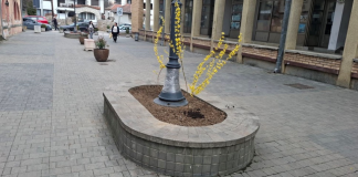 Počelo prolećno uređenje zelenih površina u Kuršumliji