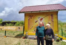 Api komora u selu Popova – pčele koje leče i ljudi koji pomažu