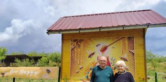 Api komora u selu Popova – pčele koje leče i ljudi koji pomažu