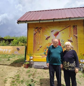 Api komora u selu Popova – pčele koje leče i ljudi koji pomažu