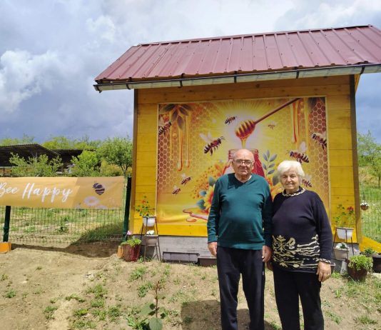 Api komora u selu Popova – pčele koje leče i ljudi koji pomažu